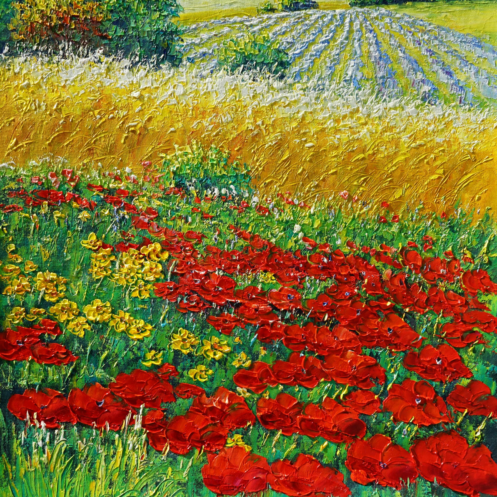 Hand painted Poppy Field 50x70cm