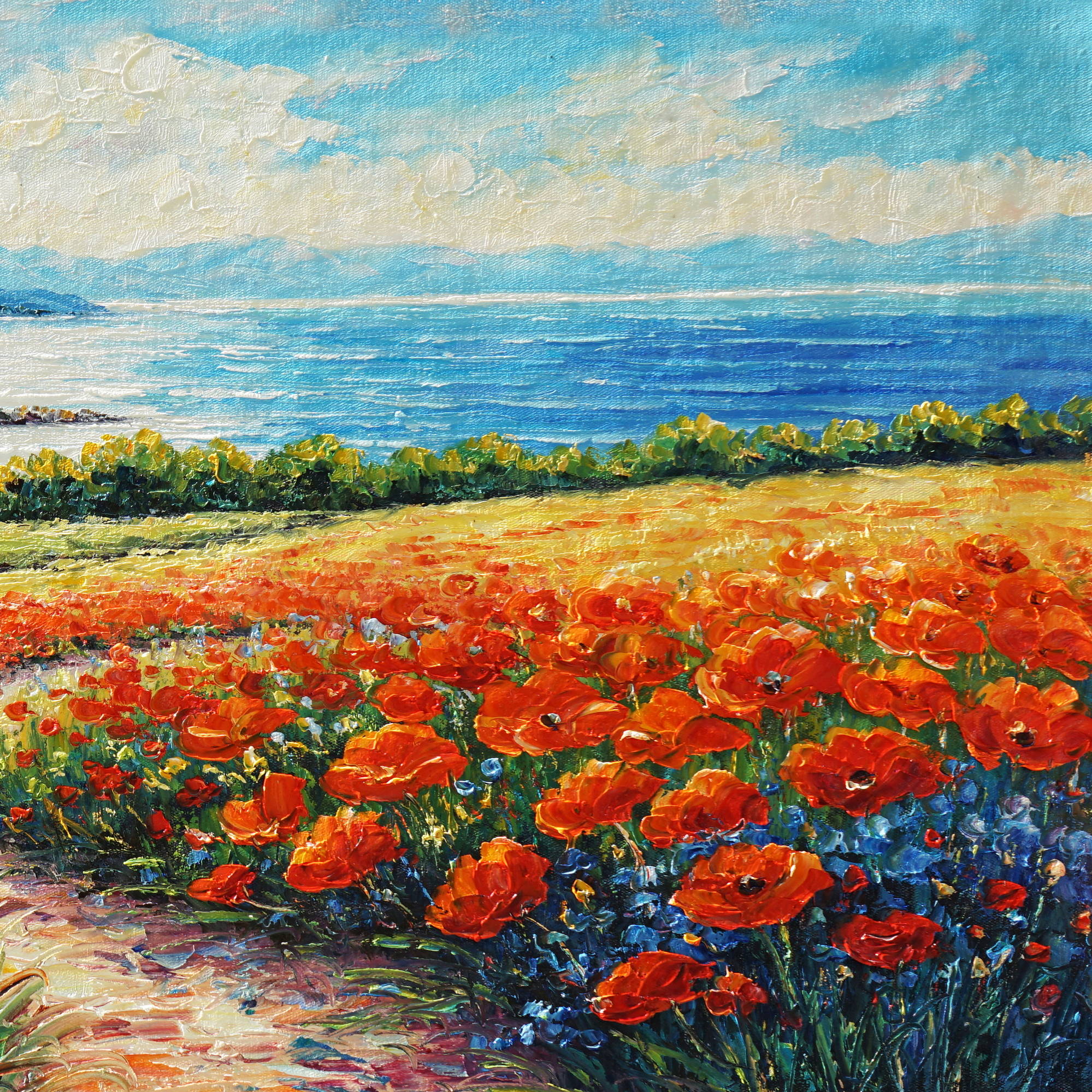 Hand painted Poppy field on the coast 50x100cm