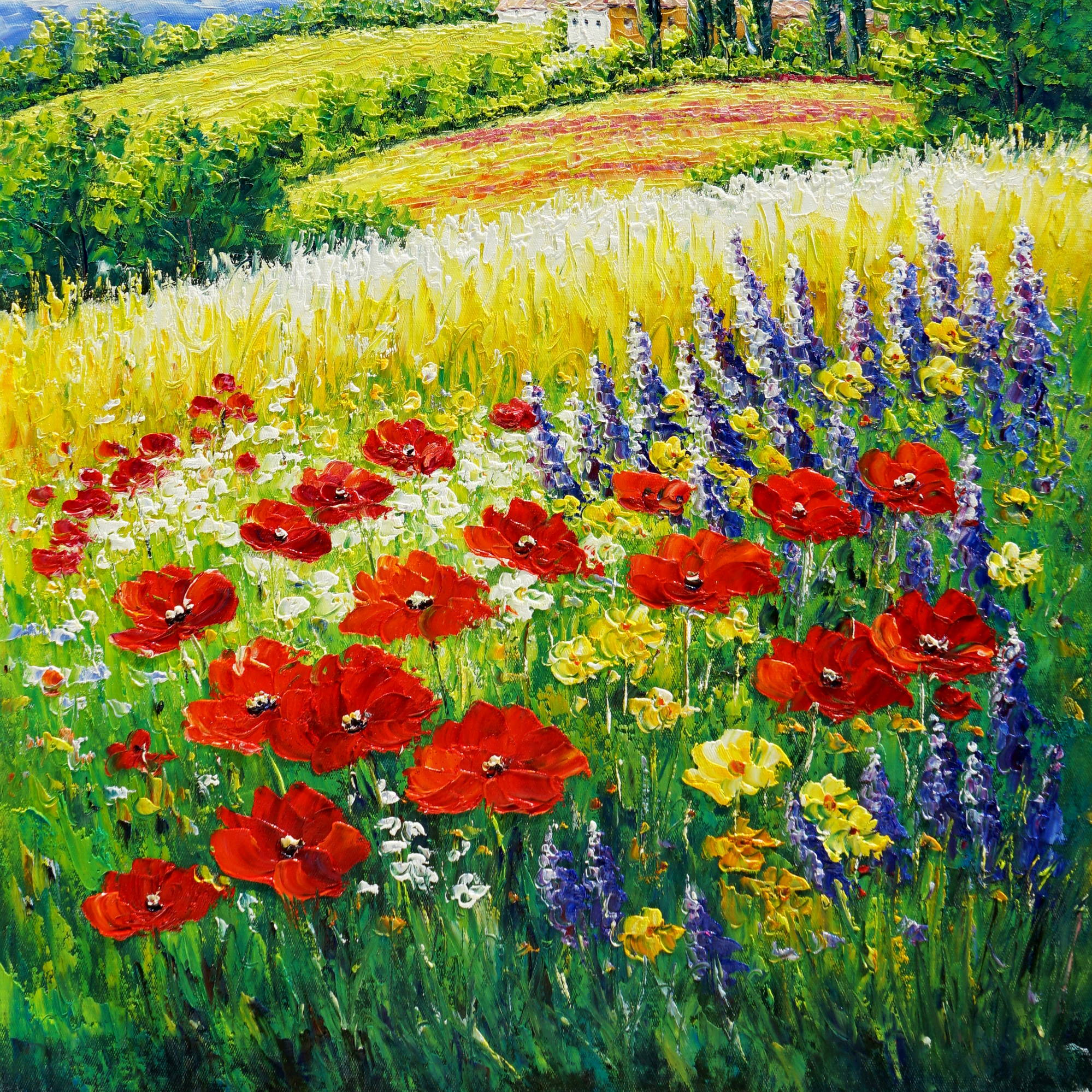 Dipinto Campi fiori selvatici Colline toscane 60x80cm