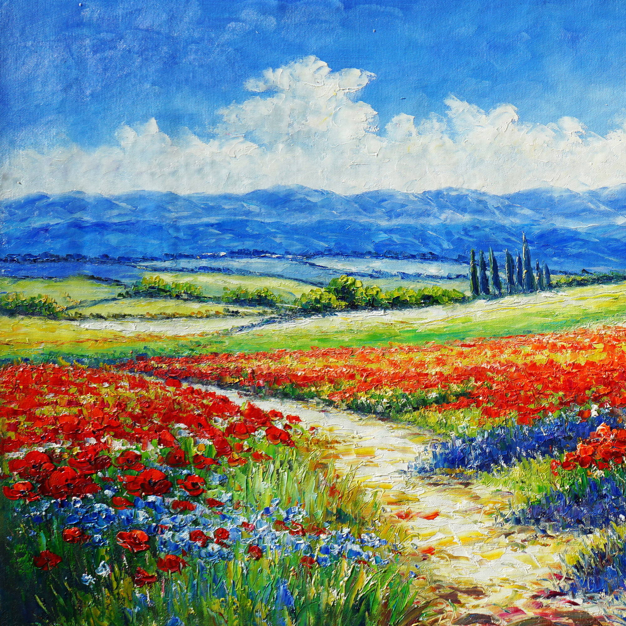 Hand painted Field of Colorful Flowers 70x140cm